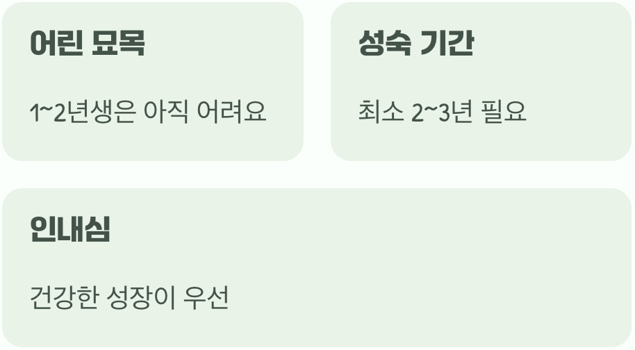 아직은 어린 아이, 나무의 나이를 확인하세요