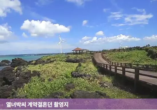 열녀박씨 계약결혼뎐 촬영지 제주 월령리 선인장군락지