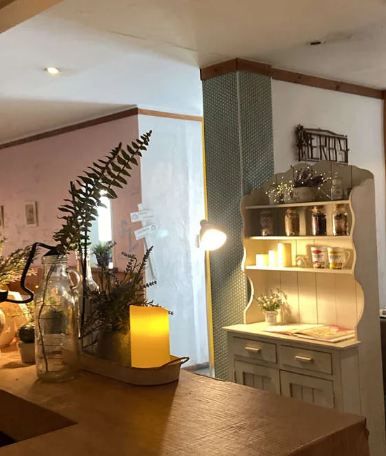 민들레영토 경희대점