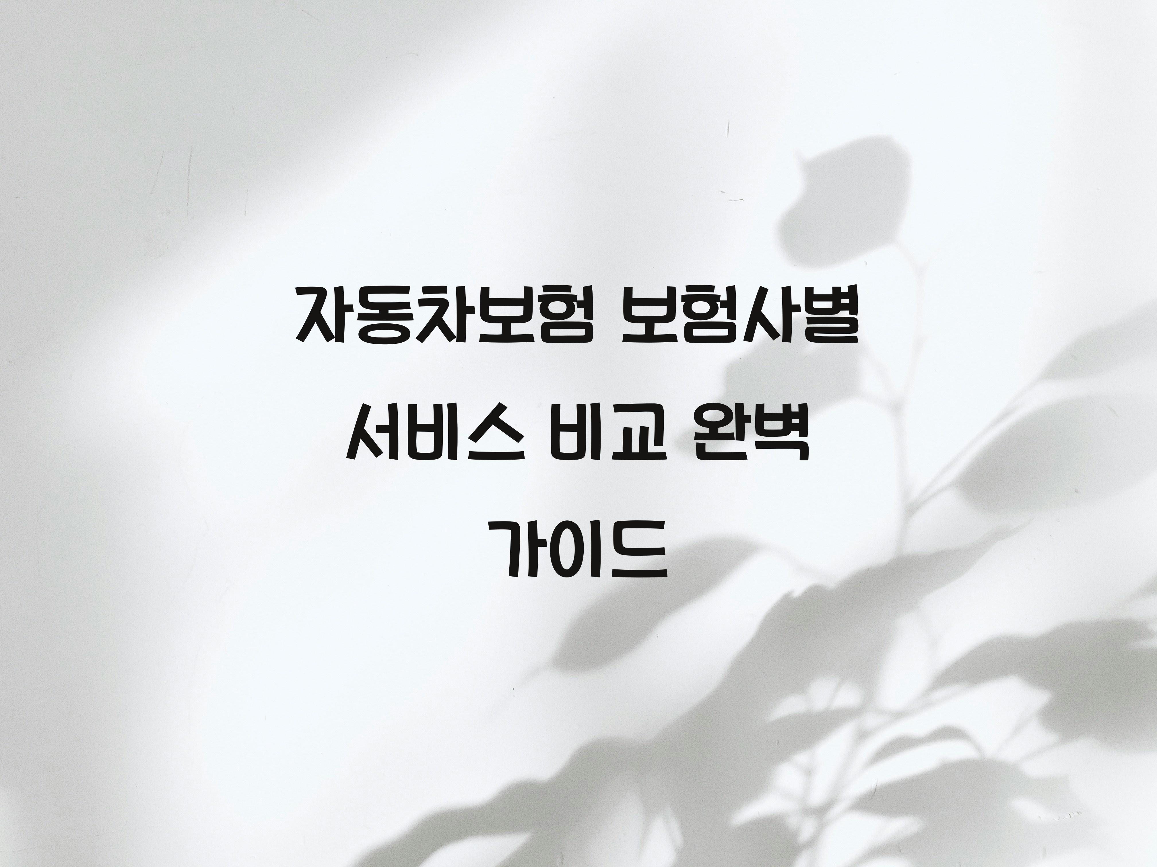 자동차보험 보험사별 서비스 비교
