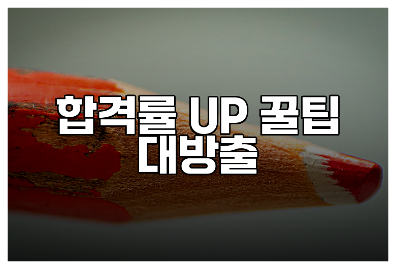 합격률 UP 꿀팁 대방출