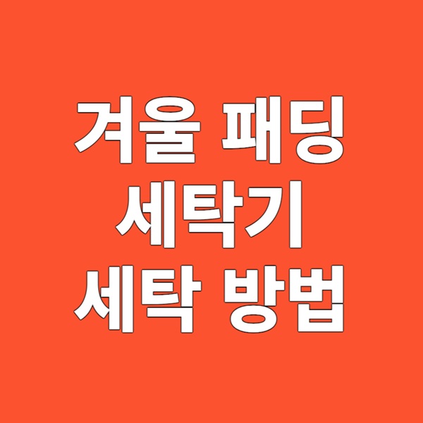겨울 패딩 안전한 세탁기 세탁 방법