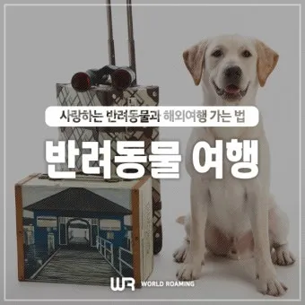 반려동물과 해외여행 기내 직항 펫 전용 준비와 절차_12