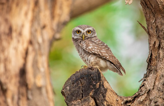 제21대 대통령선거 사전투표소