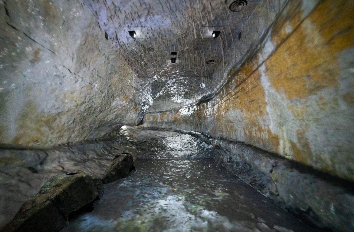 천연기념물센터