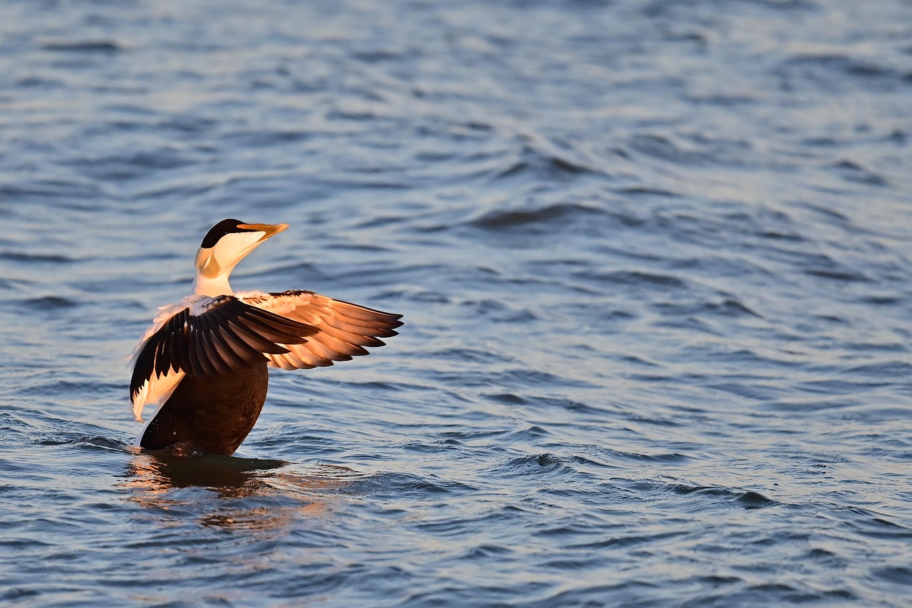 중도상환수수료 계산법