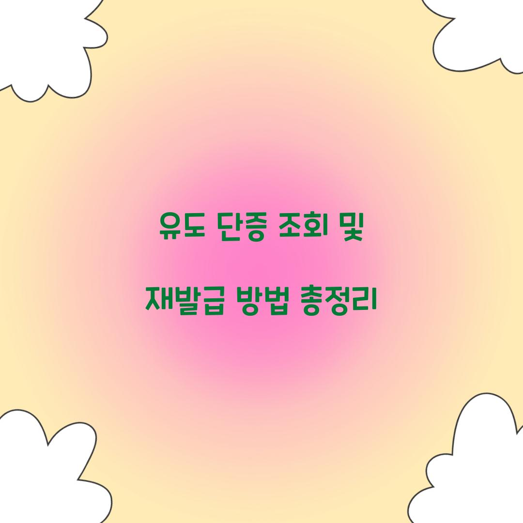 유도 단증 조회 및 재발급