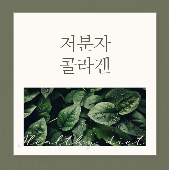 저분자콜라겐, 피부 속부터 채우는 동안 관리의 비밀