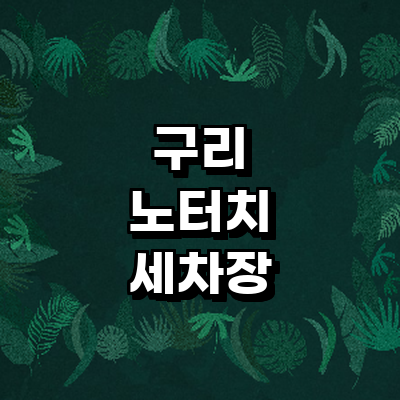 구리시 노터치 세차