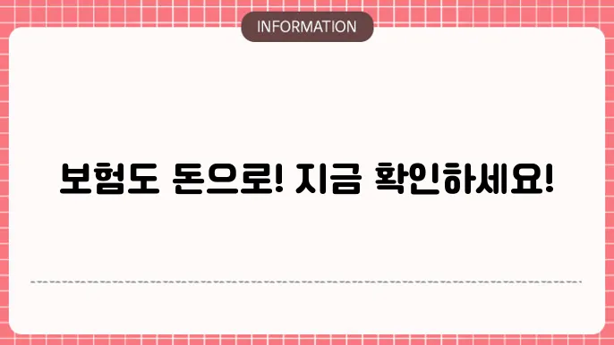 새마을금고 보험 약관 대출의 특징 설명