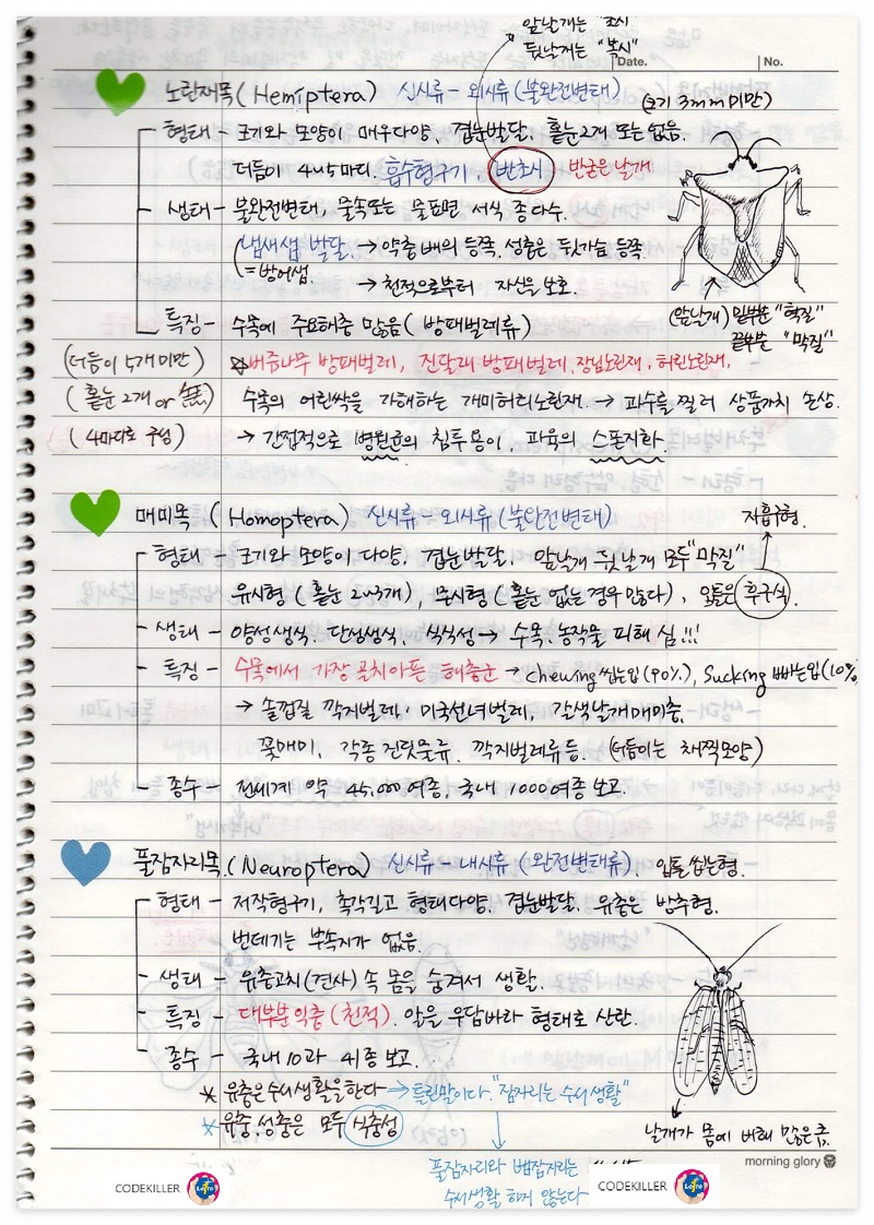 곤충의 계통분류 - 노린재목, 매미목, 풀잠자리목