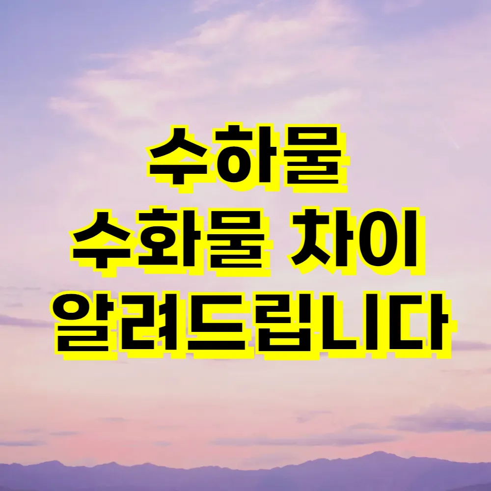 수하물 수화물 차이 알려드립니다