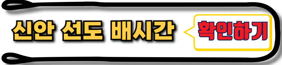 신안 선도 배시간