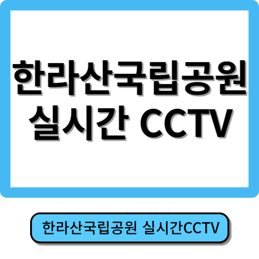 한라산 실시간 CCTV