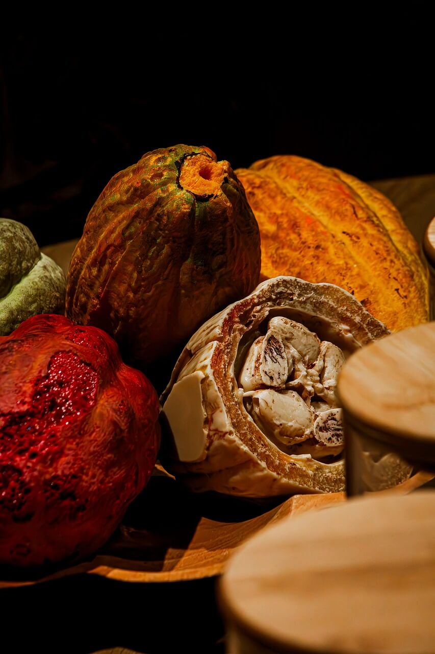 카카오닙스 효능과 먹는법