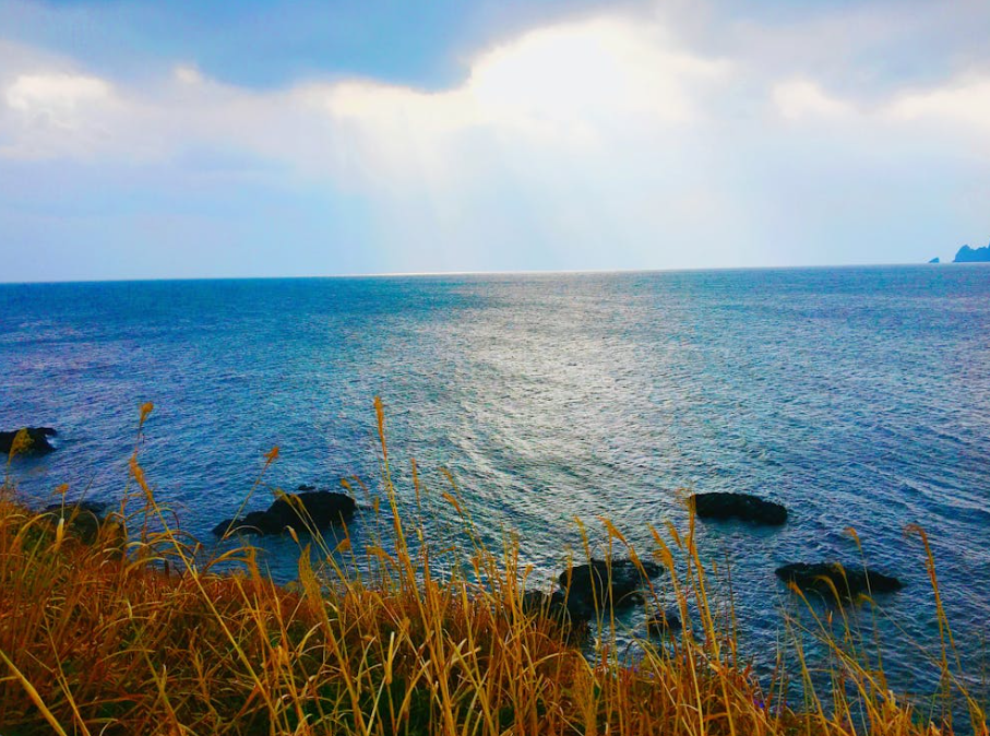 제주도 특화 정책