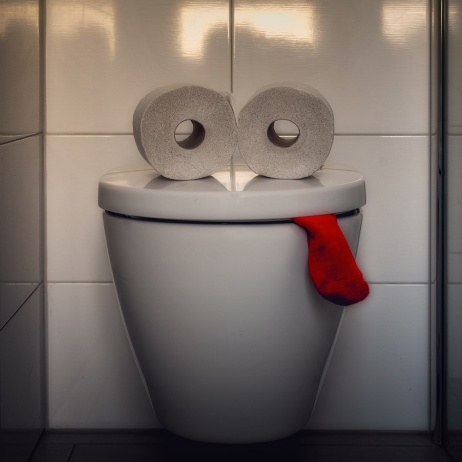 화장실 변기 위에 화장지가 2개 놓여있고, 빨간 천이 삐져 나온 사진