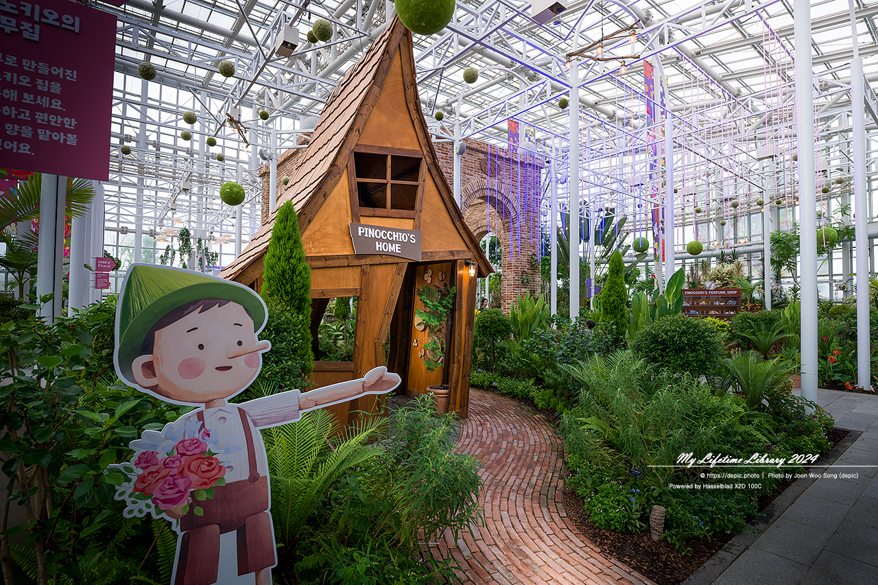 #식물 #나무 #수목원 #세종 #세종수목원 #피노키오