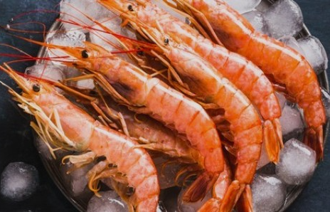 타우린-많은-음식