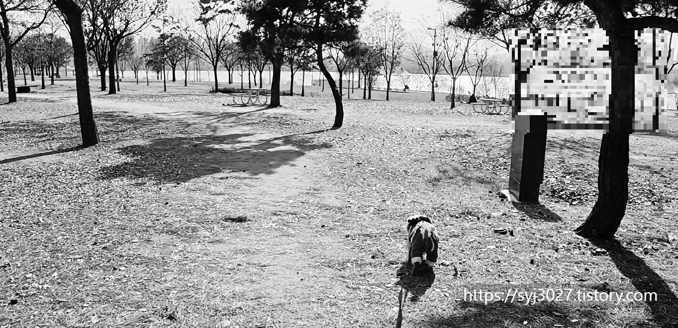 Alt 속성 문제 해결 설명 이미지