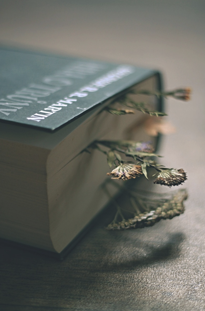 심리학 필수목록 추천 사진