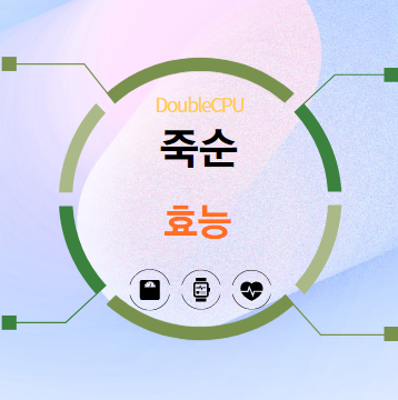 죽순 효능 탐구