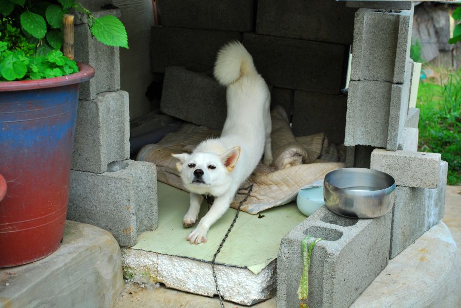 문현동 안동네 벽화마을