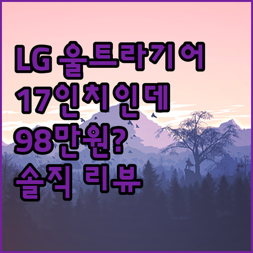 LG 울트라기어 17UD70N, 왜 ..