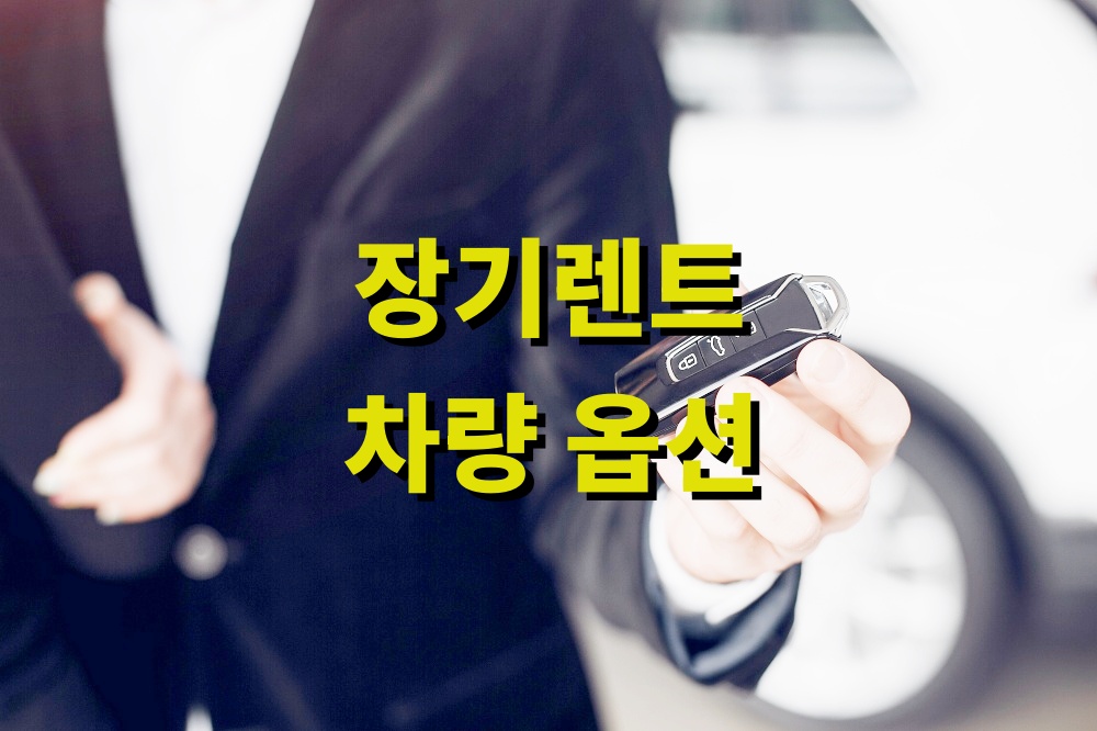장기렌트 차량 옵션