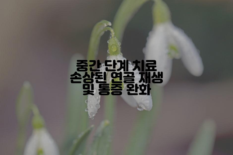 중간 단계 치료 손상된 연골 재생 및 통증 완화