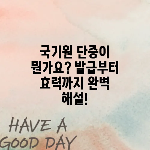 국기원 단증이 뭔가요? 발급부터 효력까지 완벽 해설!
