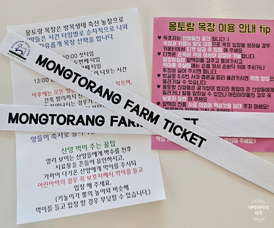 강원도 태백 여행 몽토랑 산양목장 입장권 주의사항 안내 꿀팁