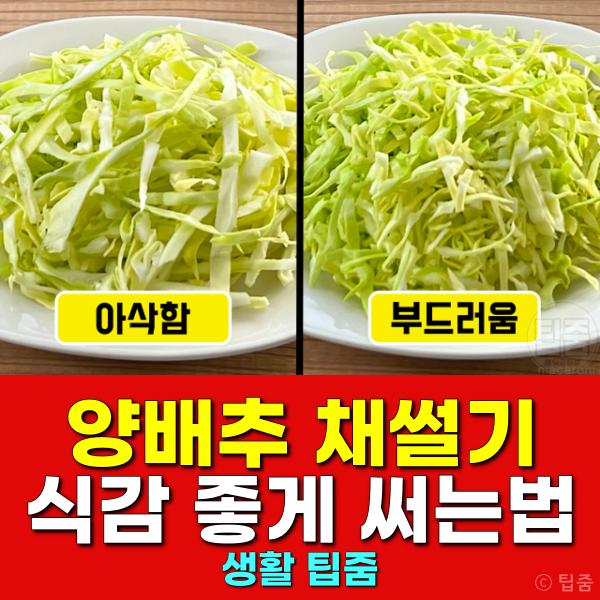 양배추 채썰기 써는법 알아두면 좋은 생활지혜