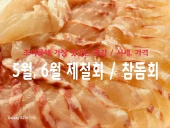 6월 제철회 종류별 신선한 해산물의 맛있는 향연_6