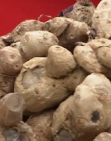 파비플로라 효능 부작용