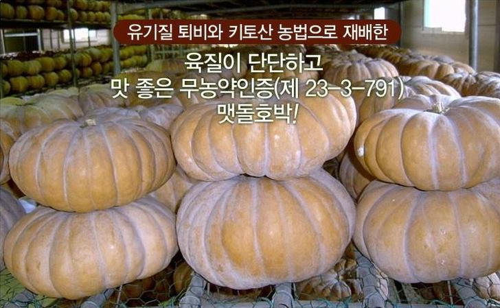  충남 서산 달콤한 맷돌 호박 파는 곳 전국 택배 온라인 전화 주문 추천 