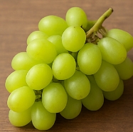 포도 종류