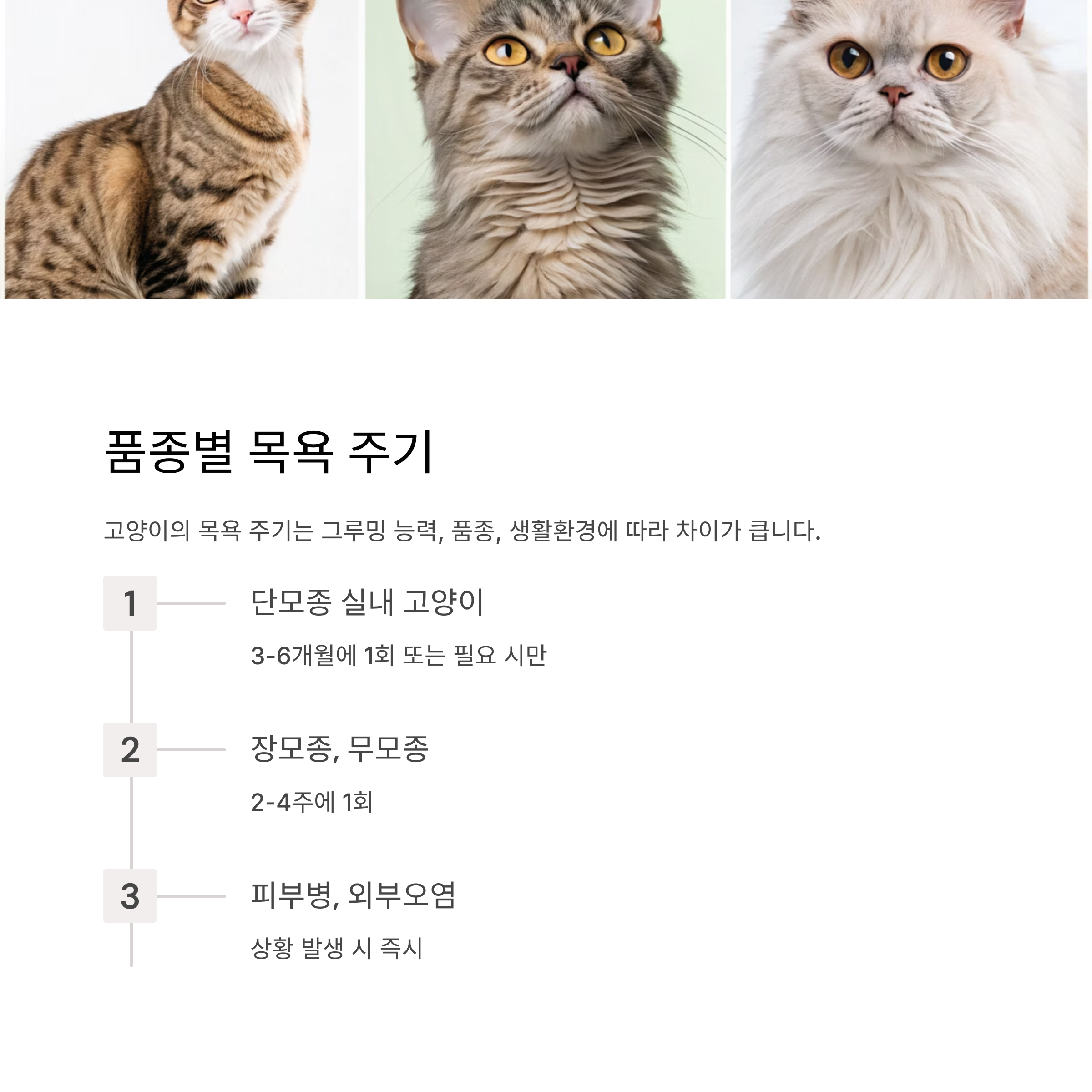 품종별 목욕 주기