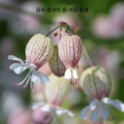 갑상선 기능 검사 가이드|2030 직장인이 꼭 알아야 할 이유