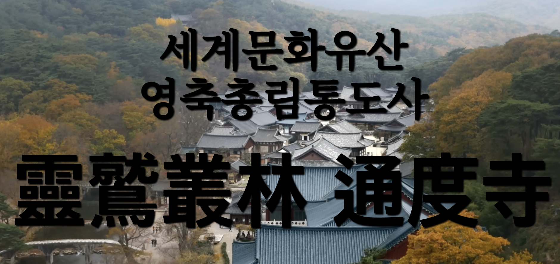 통도사 매화축제 주차장 위치 바로가기 2025