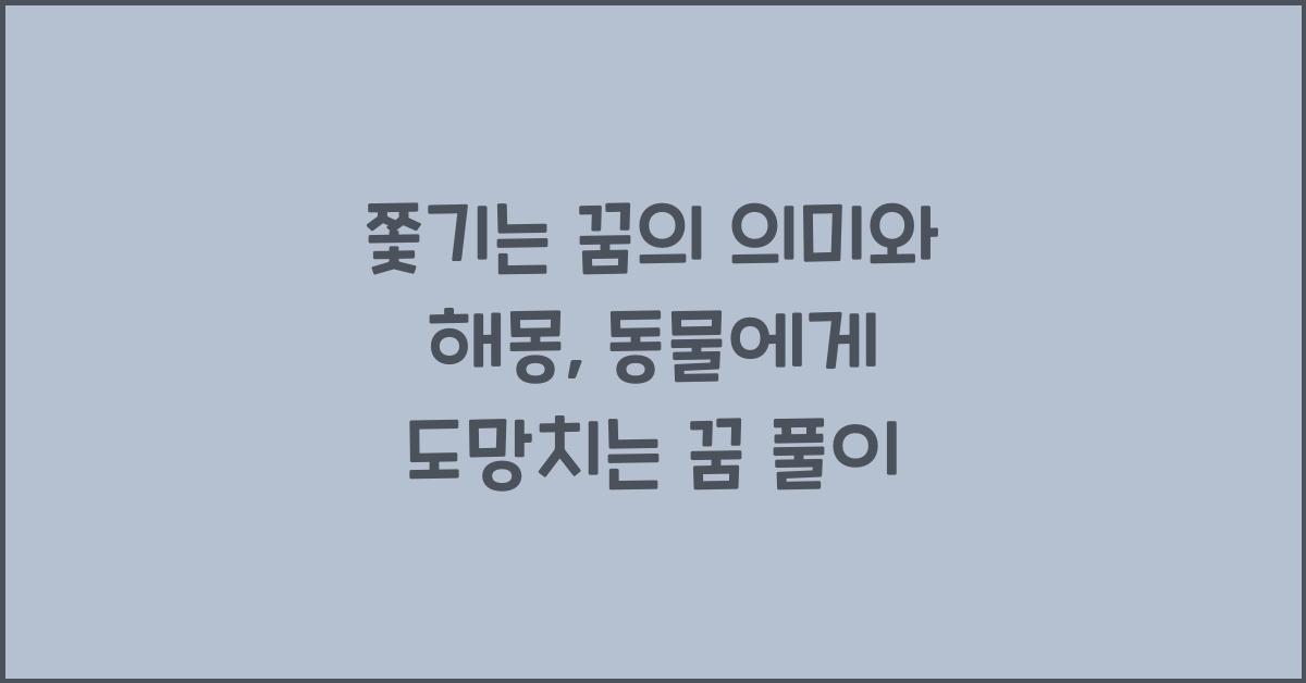 쫓기는 꿈의 의미와 해몽