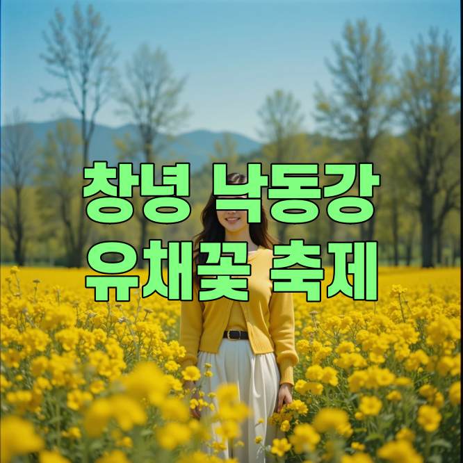 창녕 낙동강 유채꽃 축제 2025