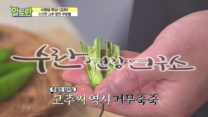 고추씨 활용법