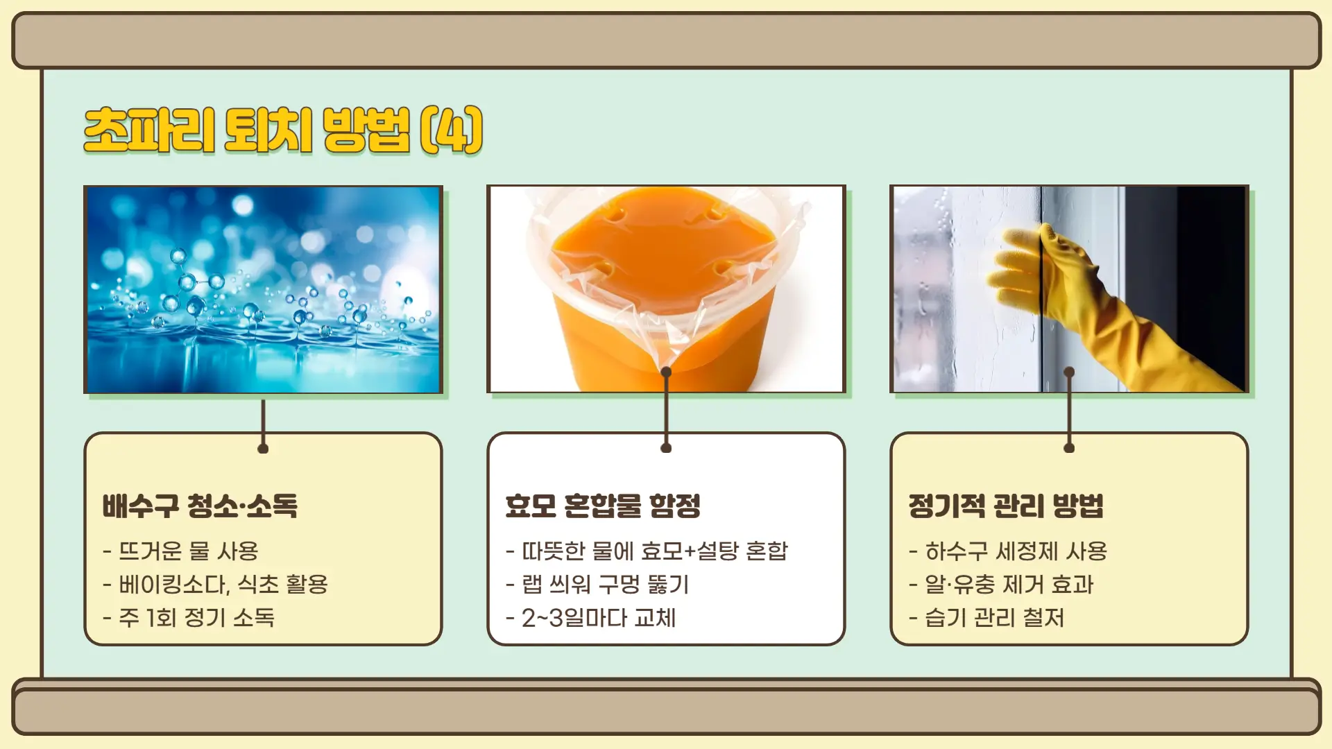 초파리 없애는 방법5