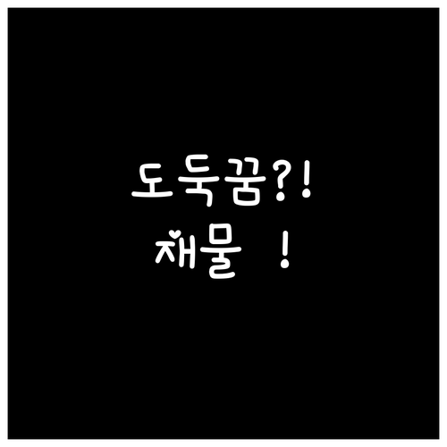 도둑 맞는 꿈 재물운 상승과 새로운 ..