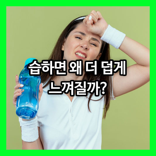 습하면 왜 더 덥게 느껴질까?