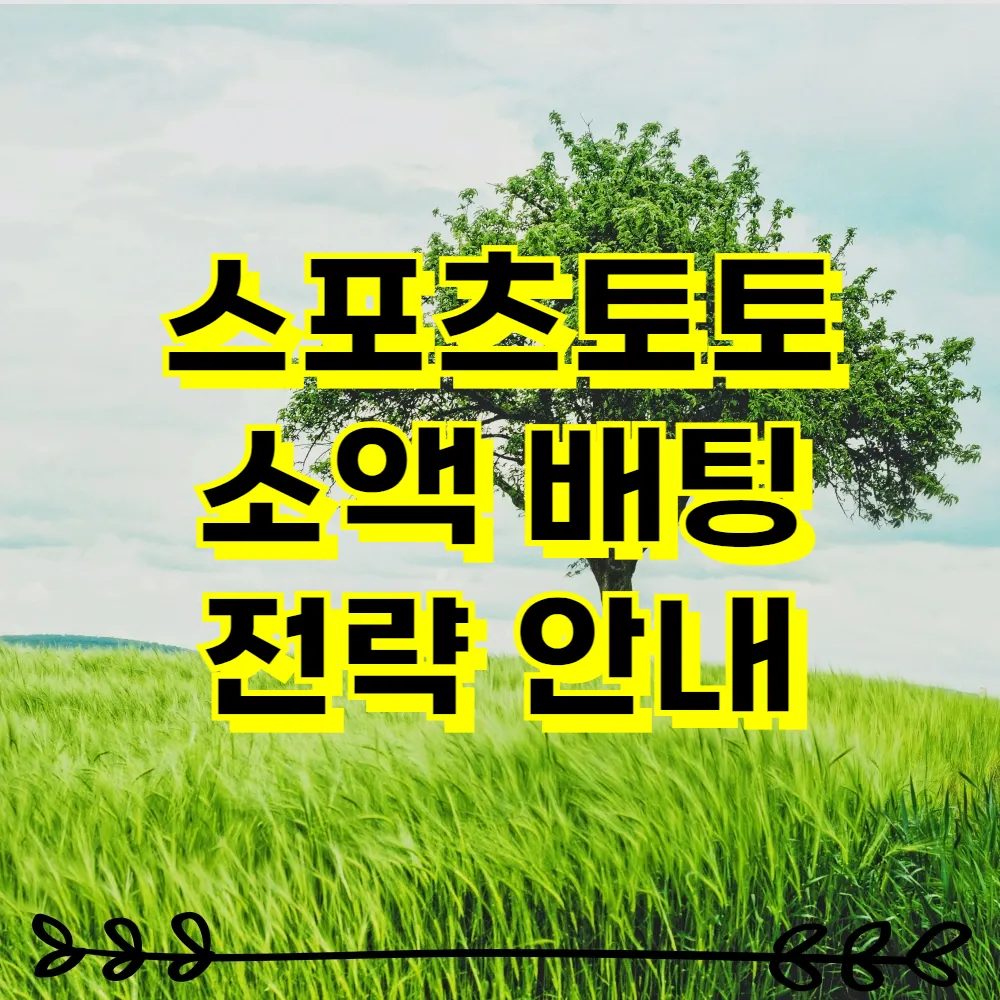 스포츠토토 소액 배팅 전략 안내