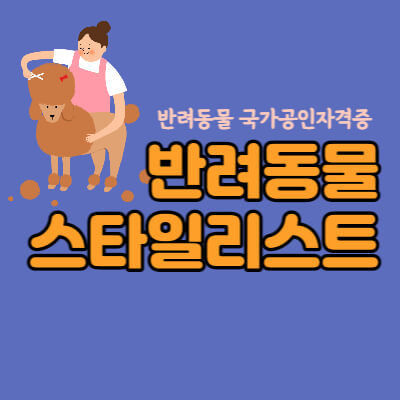 국가공인자격증-반려동물스타일리스트-필기실시시험-대표섬네일