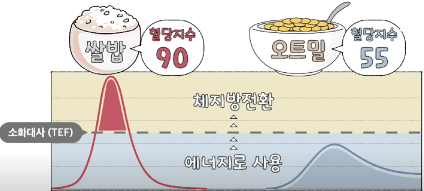 귀리가 좋은 이유 이미지