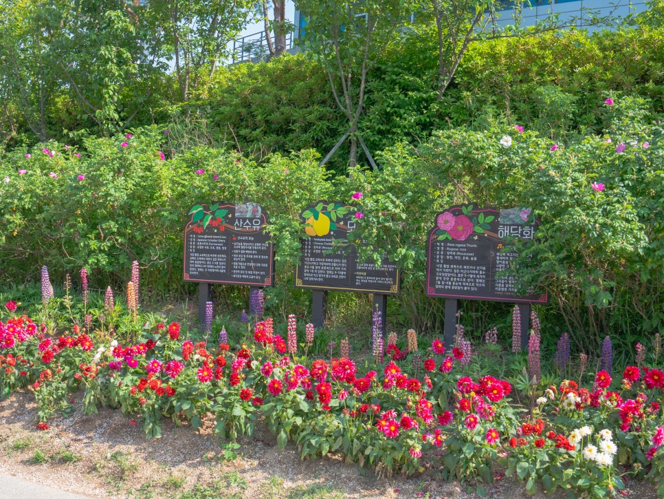 부산 정관 윗골공원